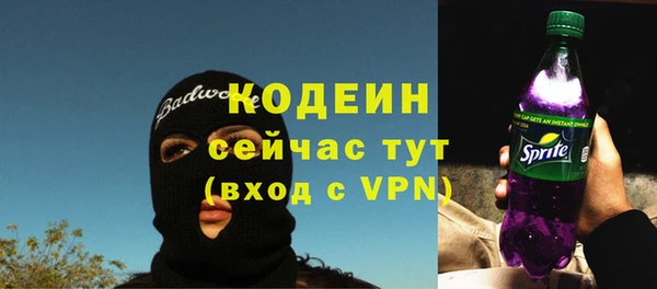 стафф Гусев