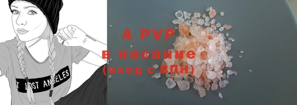 шишки Дмитровск