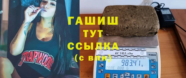 стафф Гусев